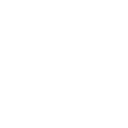 Live am Marktplatz auf instagram