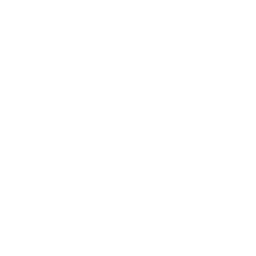Live am Marktplatz: unser You Tube Kanal
